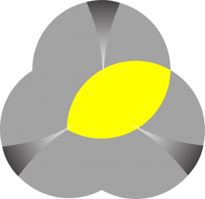 ethical-spectrum-logo-wedge-yellow-no-borders-plus-grey-2-0